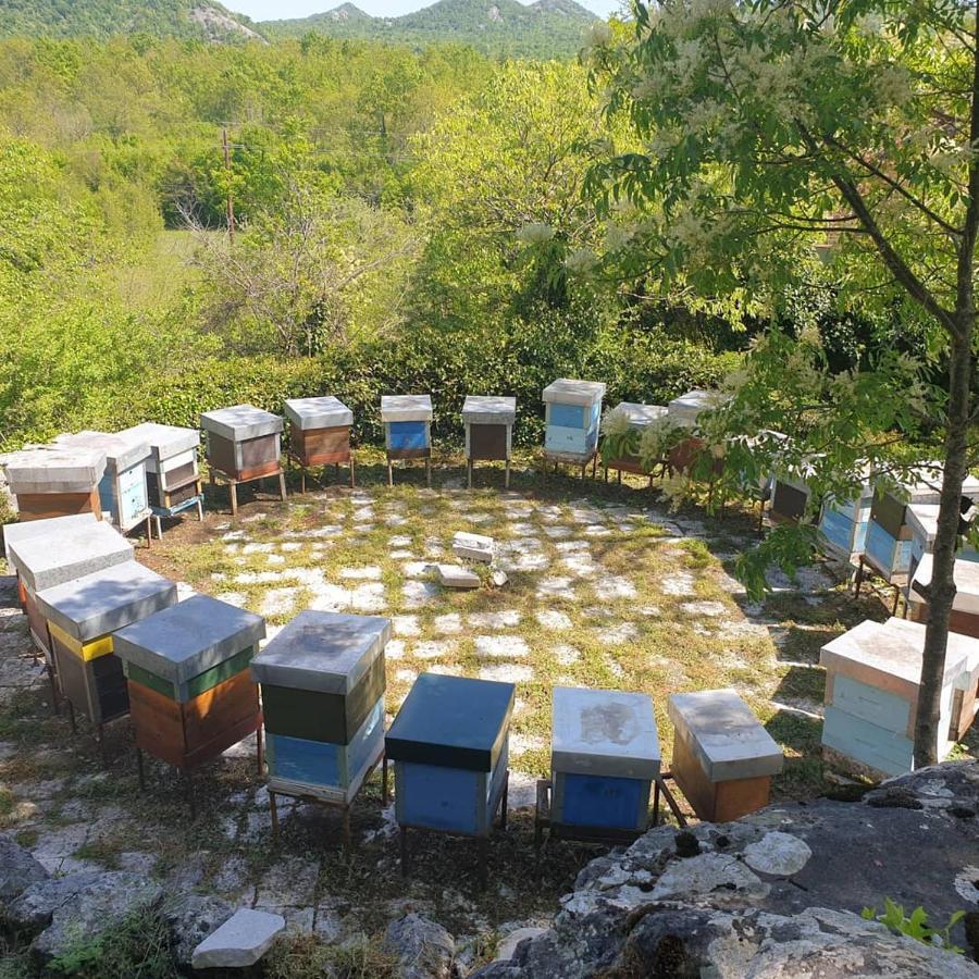 Affittacamere Aleksa Cetinje Esterno foto