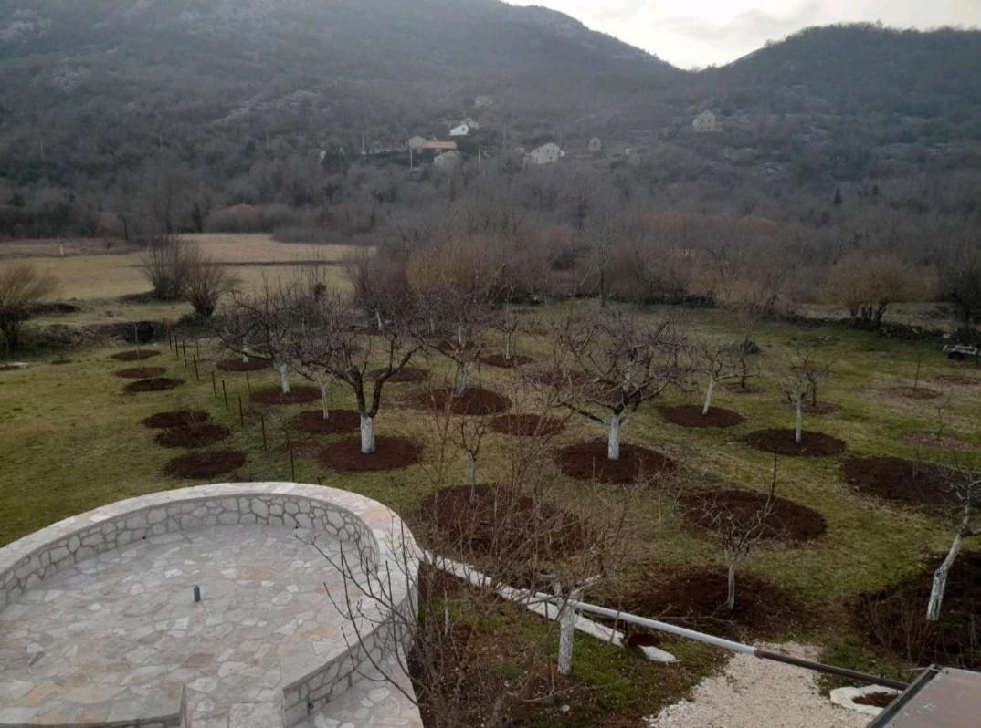 Affittacamere Aleksa Cetinje Esterno foto